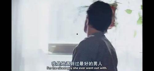 迟来的情爱比草贱,草芥般珍贵的情感历程