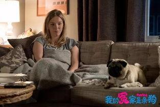 我的冤家是条狗（国语版）,一场跨越物种的奇幻复仇之旅