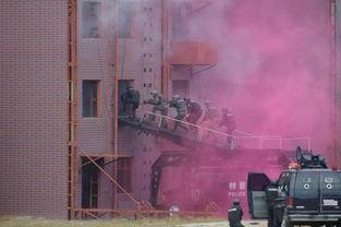 错把国士当普工（为国铸剑反遭背刺）