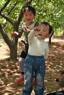 女儿，妻子和母亲,三重身份下的爱与责任