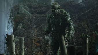 沼泽怪物,神秘沼泽深处的神秘传说