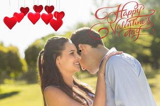 她爱我,探寻爱情的力量与真谛