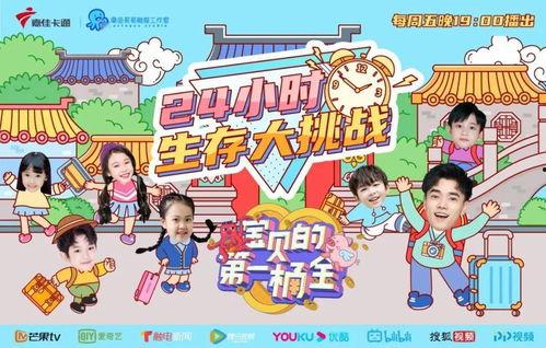 生计大挑战,逆境求生，揭秘生存智慧与团队协作