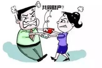 离婚前我拿回了所有,全面拿回财产，重获新生